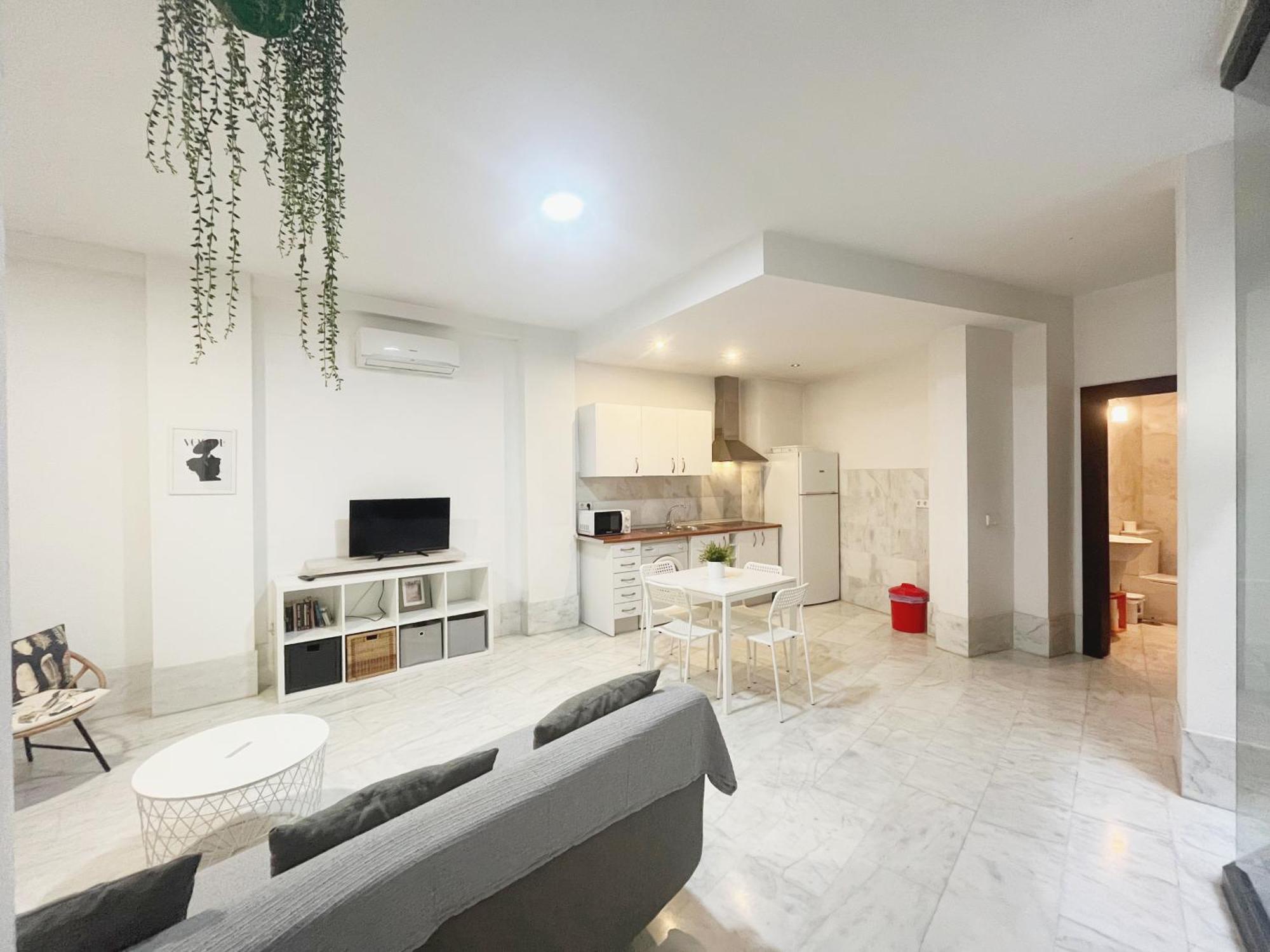 Appartement Center Confort 5 *